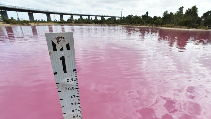 2 na 1 adela dano nela_komplet.mp4