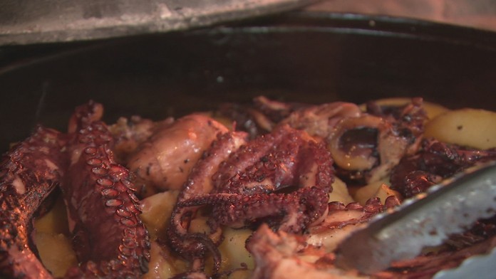 grohling plagi_tvnoviny.mp4