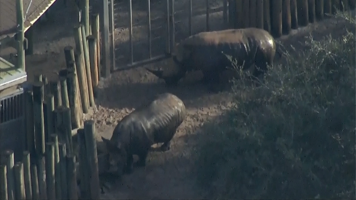 nosoroyec_tvnoviny.mp4