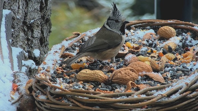 Na snímke ošetrenie trávnika na futbalovom štadióne Tehelné pole pomocou umelého svetla simulujúceho slnečné žiarenia.