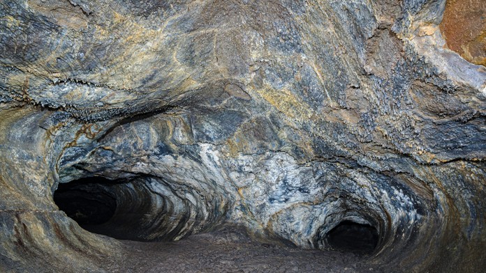 V Indii objavili pozostatky „najväčšieho hada, aký kedy žil“. Bol dlhší ako Tyrannosaurus Rex