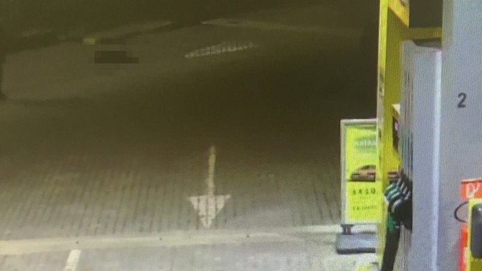 Zastrelený pes na pumpe.