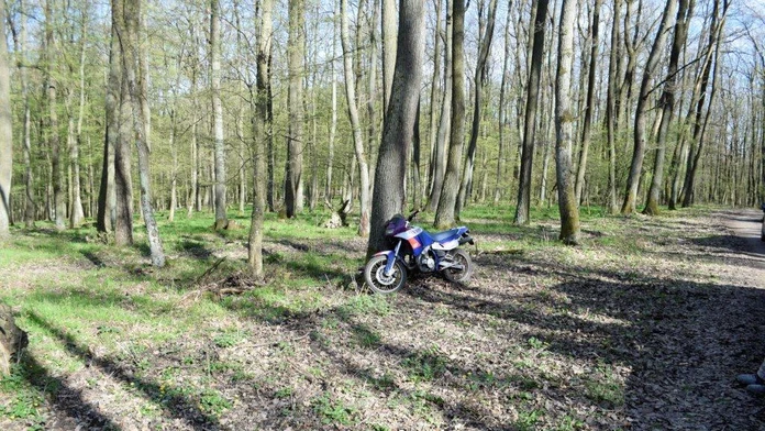 Motoristi v lese.