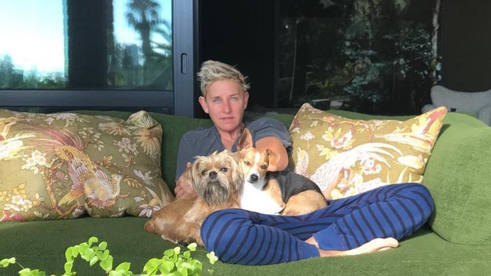 19 Diplomovka Matovic politicky.transfer_tvnoviny.mp4