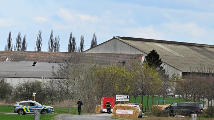 Na Slovensku neevidujú nové ohnisko slintačky a krívačky. V Plaveckom Štvrtku začali s utrácaním dobytka