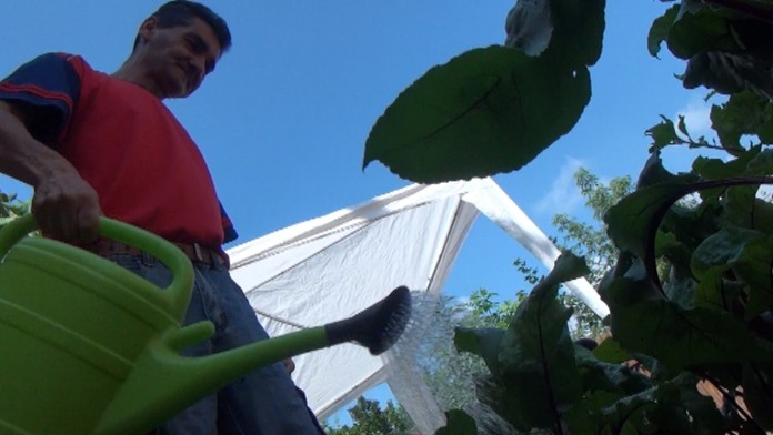 Osoh z toho nemajú len oni.  