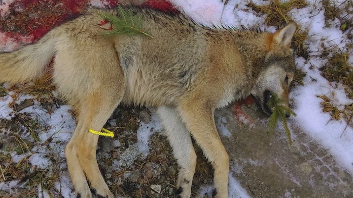 Leták ministra Jána Richtera.