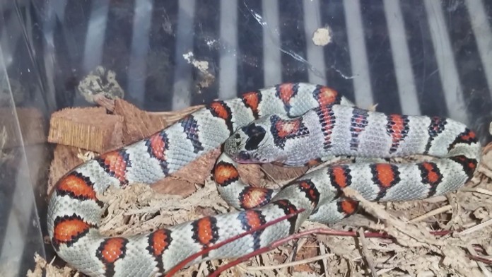 Ilustračná snímka.