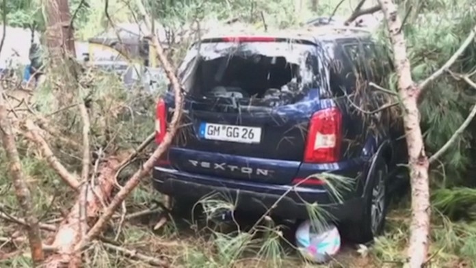 Stromy popadali na autá.