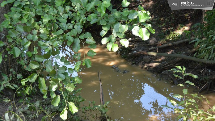 Škody za viac ako 400 miliónov eur. Enviropolícia vzniesla obvinenie v prípade katastrofy na rieke Hron