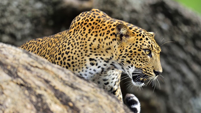 Ilustračná snímka