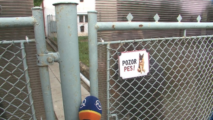 Rex stráži svojich majiteľov poctivo.