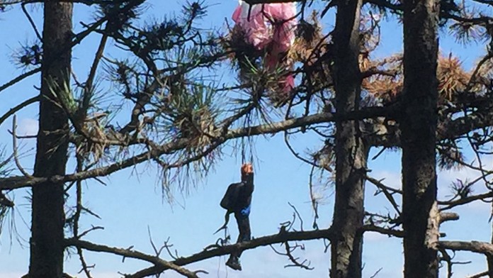 Paraglajdista visí na strome. 