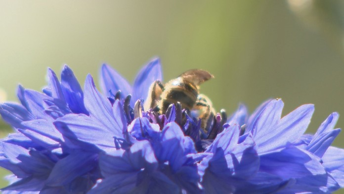 Niektoré dávky štát nezdvíha už roky.