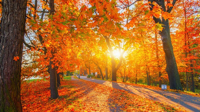 Babie leto Slovensku nevládne. Klimatológ prezradil, podľa čoho budeme vedieť, že prichádza