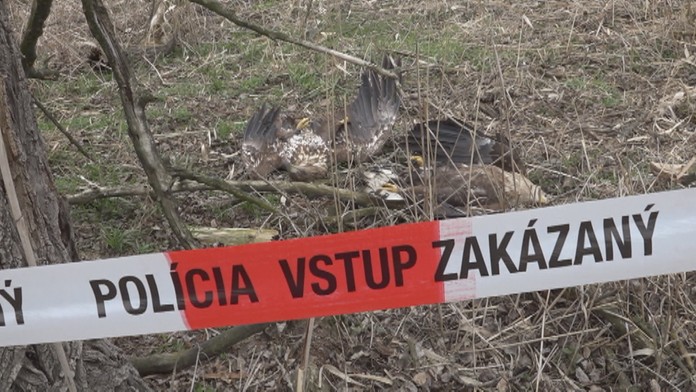 Ilustračná snímka.