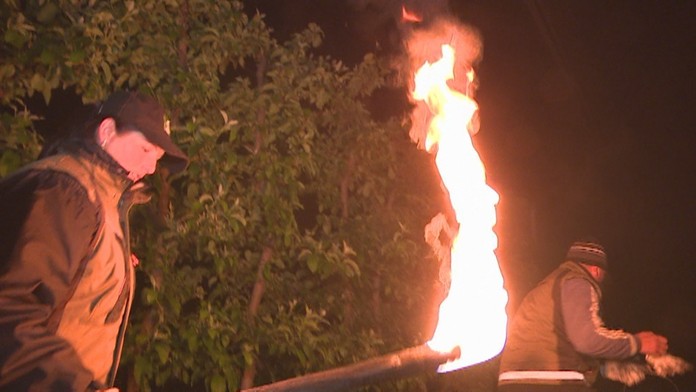 Radosť hráčov Bayernu Mníchov po góle proti Hannoveru.