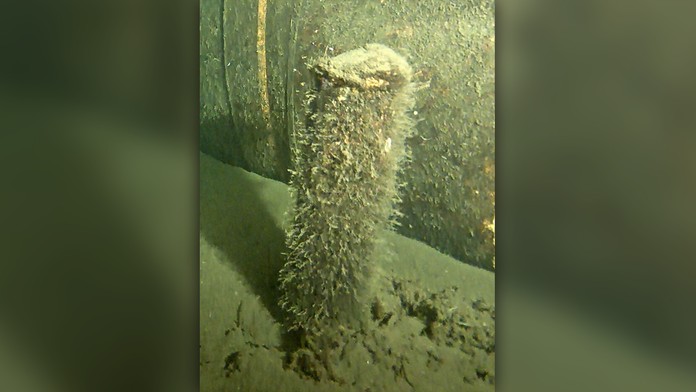 Dánsko vytiahlo predmet z mora neďaleko poškodeného plynovodu Nord Stream 2. Už je jasné, čo to je