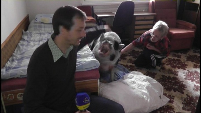 19 RK Prasa milacik.transferweb_jpg_bez_watermarku_1.jpg