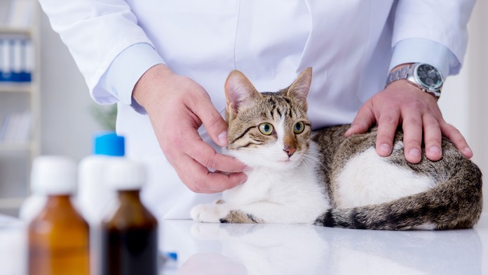 Branislav Gröhling bez rúška.