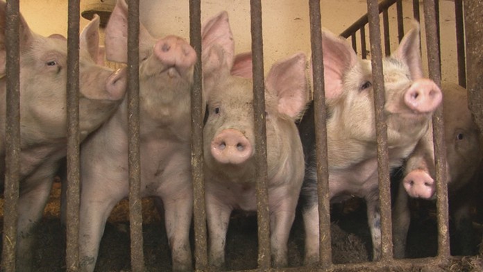 Ilustračná snímka.