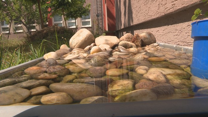 miskysvodoureflex_tvnoviny.mp4