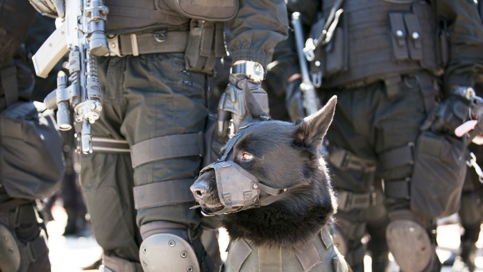 Ruský poslanec prišiel s bizarným nápadom: Na ukrajinské tanky chce poslať „kamikadze psov“