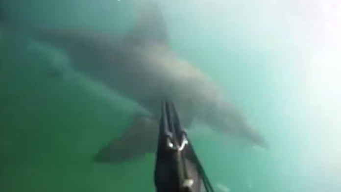 Muž si všetko nakrútil na GoPro kameru. 