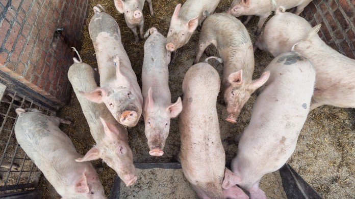 Strieborný Aksel Lund Svindal a víťaz Kjetil Jansrud.