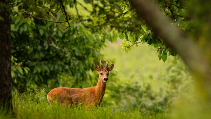 Ilustračná snímka.