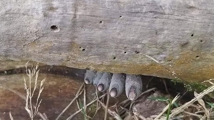 Ilustračná snímka.