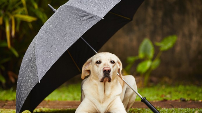 Ilustračná snímka