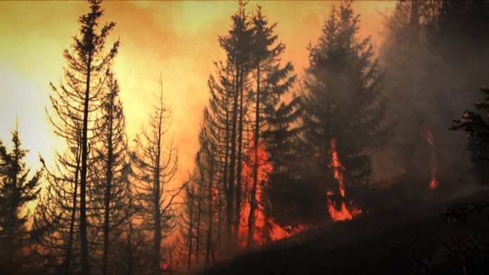 Slovensko zápasilo s jedným z najväčších lesných požiarov