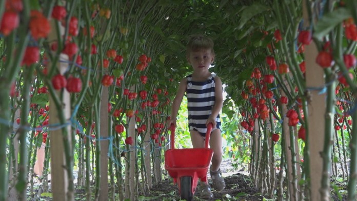 Ilustračná snímka.