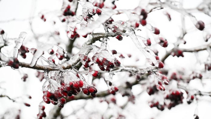 Mrazivý deň na kopaniciach