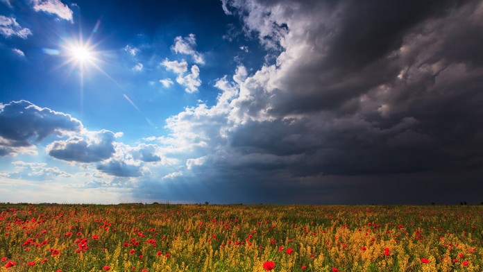 0909_Lovci_penazi_09_09_P30_Tuma_Jerry_Po_Pia_17_50__12__sponzorA.mp4