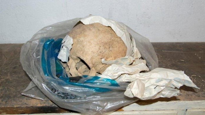 V pivničných priestoroch v Prešove bola nájdená ľudská lebka.