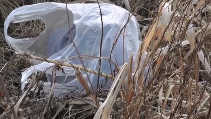 novorodenec taska.jpg