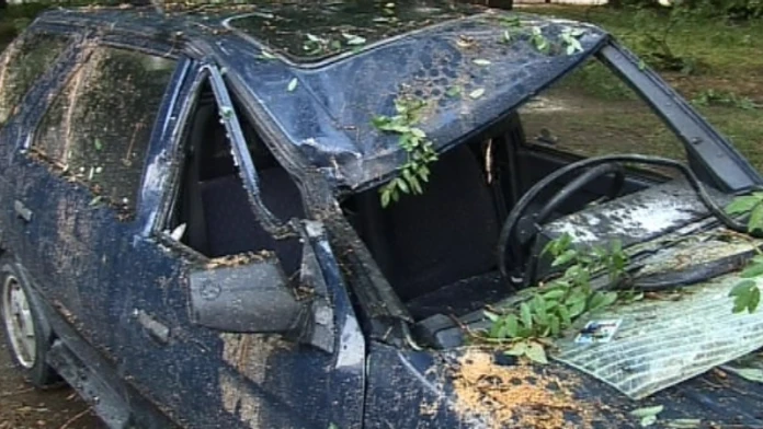 19 NZ Stromy poskodili auta .transferweb_jpg_bez_watermarku_1.jpg