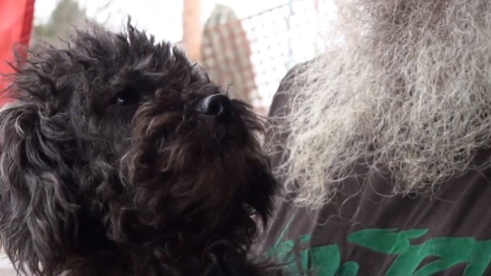 janka zahrweb_jpg_bez_watermarku_1.jpg