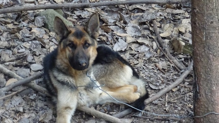 Protestujúci v Sudáne.