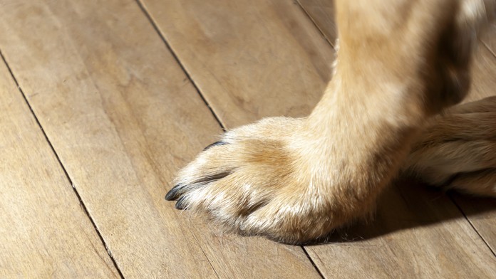 Ilustračná snímka. 