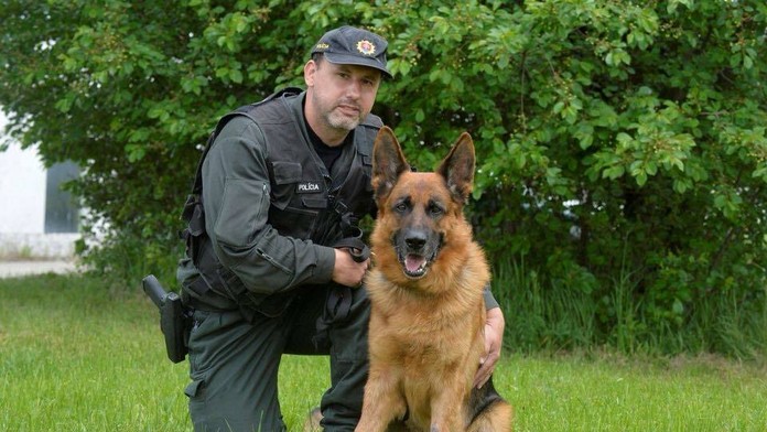 Vlčiak Vels vyňuchal zlodeja, ktorý sa vyhýbal base.