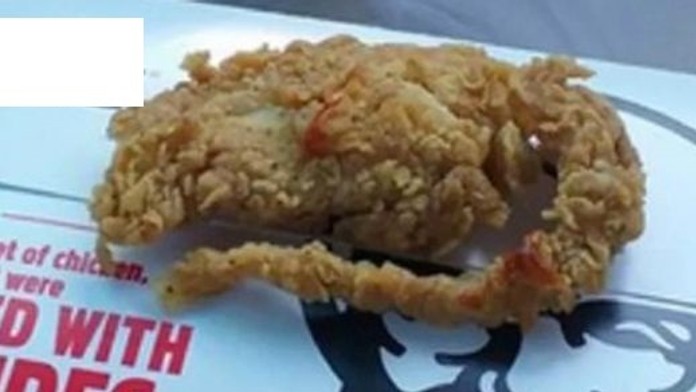 KFC-fried-rat.jpg