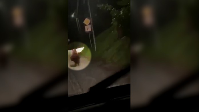 Ilustračná snímka.