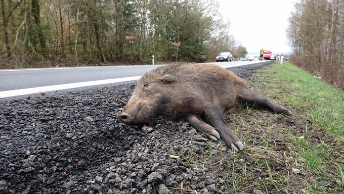 Ilustračná snímka