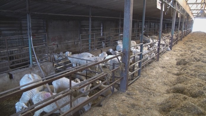 Ilustračná snímka.