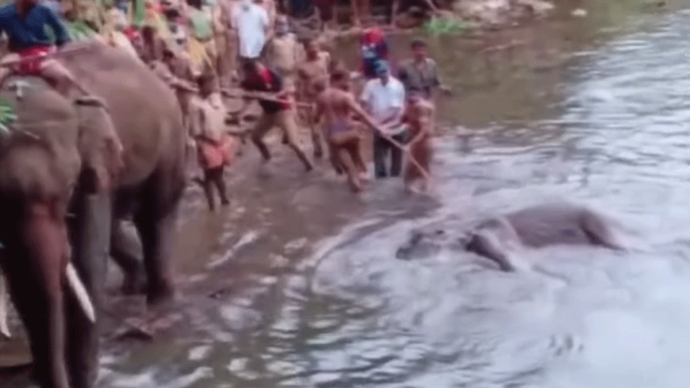 Ruska držala dievčatko z detského domova v neľudských podmienkach