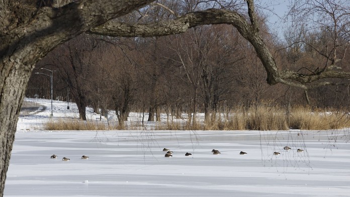 Volala ich na večeru, no už sa neozvali. Dvojčatá (†7) sa prepadli pod ľad, mama za nimi skočila