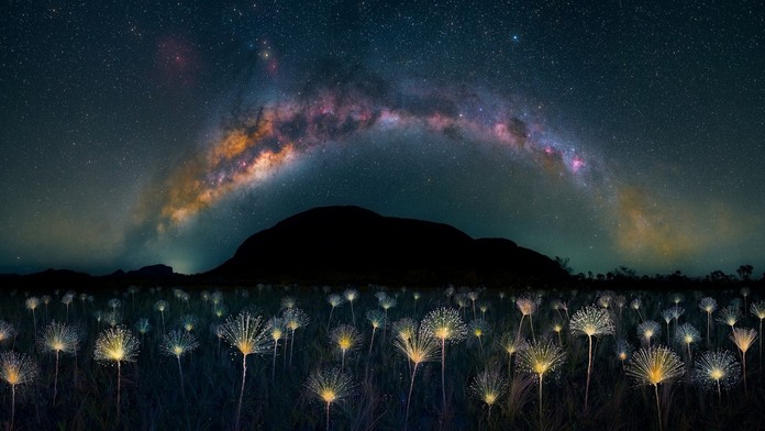 FOTOGALÉRIA: Ohurujú krásou aj nútia človeka sa zamyslieť. Ocenili najpozoruhodnejšie snímky prírody